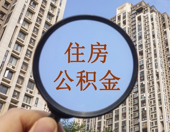 海北退休后查不到公积金明细了吗（退休后公积金查询不到原因）